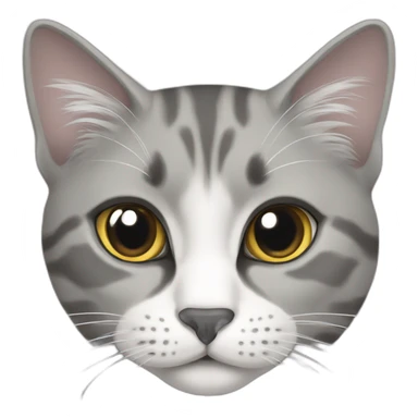 Scotland cat grey white sticker