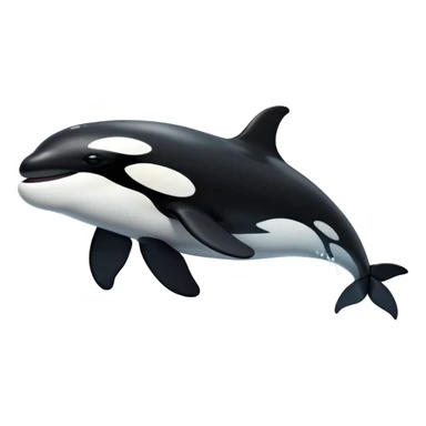 Shamu orca whale sticker