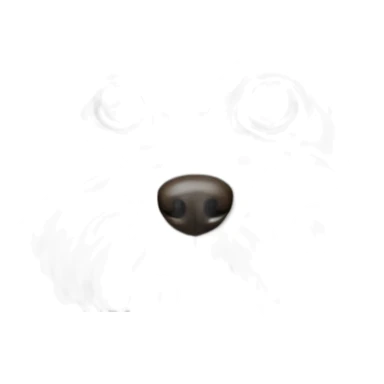 yorkshire dog short fur sticker