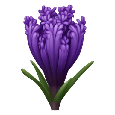 Dark purple hyacinth sticker