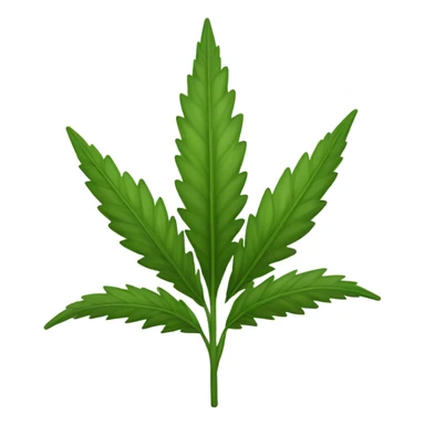 Hemp plant  sticker