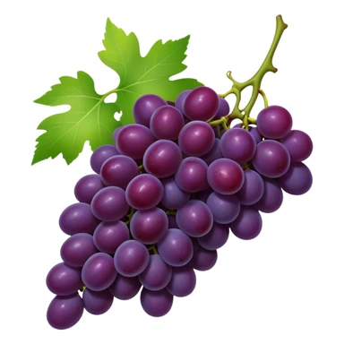 A high-res, transparent-background emoji

Of a realistic small bunch of deep purple grapes

With a green stem and a touch of leaf sticker