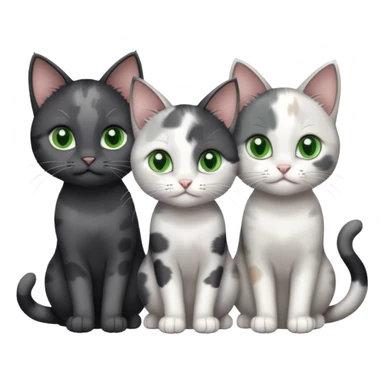 3 different coloured small cats including a dark grey and white, and a patchy calico and a completely solid dark grey with green eyes and only white paws sticker