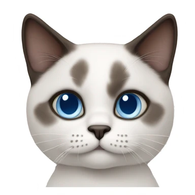 snowshoe cat blue eyes sticker