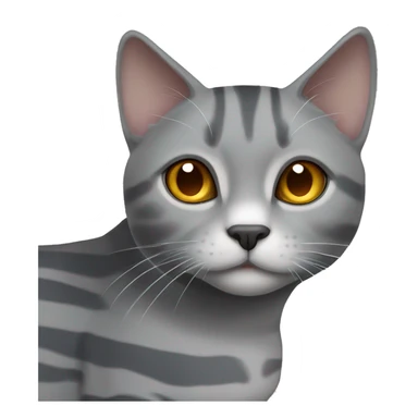 Grey cat with white stripes with amber eyes Scottish breed sticker