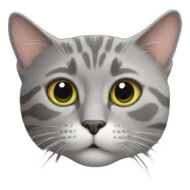 Pepe grey cat sticker