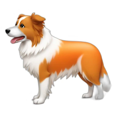 white tan border collie in orange wheel chair sticker