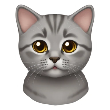 Brownbritishshorthairkitten sticker