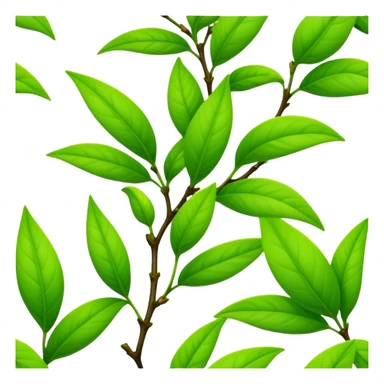 Fresh green tea buds with young tender leaves sticker