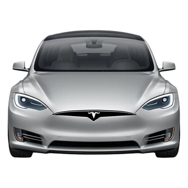 tesla model s 2019 sticker