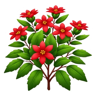 Australian Christmas bush sticker