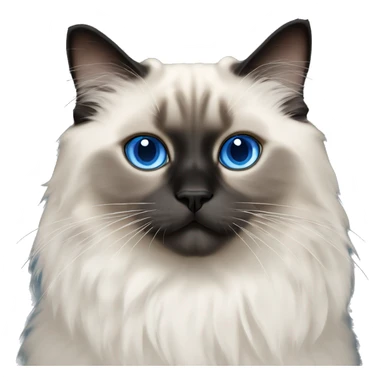 himalayan ragdoll cat with blue eyes and black feet and black tail sticker