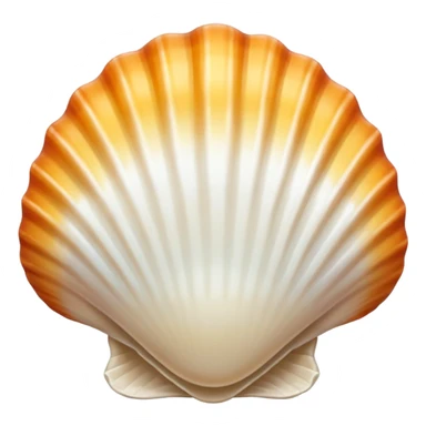 pretty white beach shell sticker