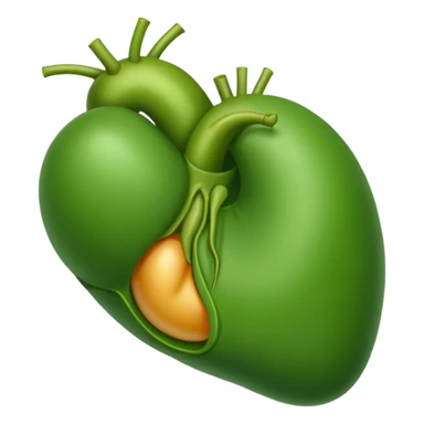 Gallbladder sticker