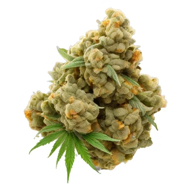 OG Kush cola cannabis nug sticker