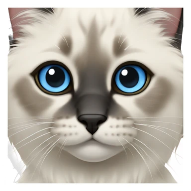  ragdoll cat with light blue eyes, center of face is black nose is black and also mouth is black, cute adorable sticker