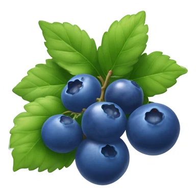 Blueberries  sticker