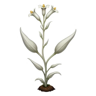Ghost Plant (Monotropa uniflora)  sticker