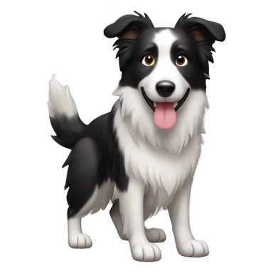 Cute Border collie  sticker