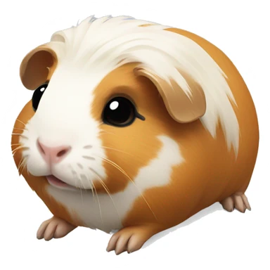 skelet of guinea pig  sticker