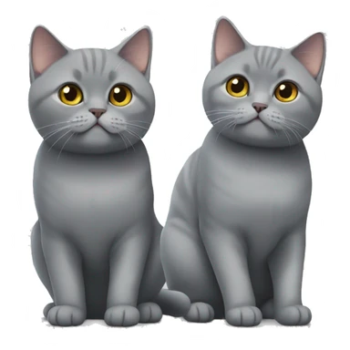 Two grey Cats british shorthair sticker