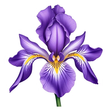 single Lavender Iris, straight stem sticker