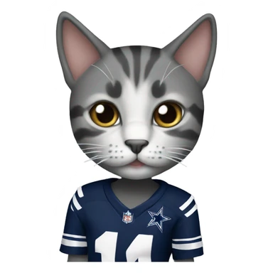 Dallas cowboys cat sticker