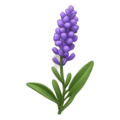 sprig of lavender sticker