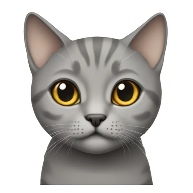 British short hair cat in grey cute looking sticker