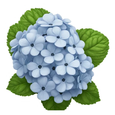 hortensia sticker
