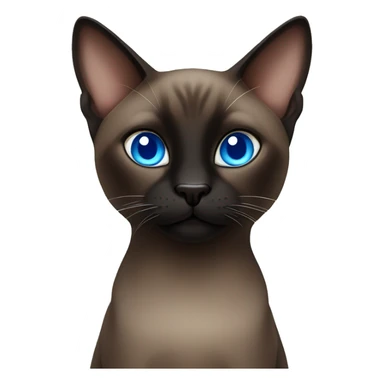 Dark brown and black Siamese cat with blue eyes sticker