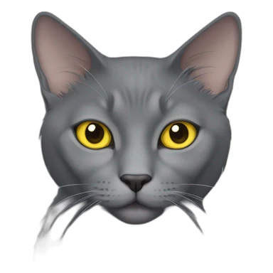 fluffy grey korat breed cat with yellow eyes black pupils, sleeping female sticker