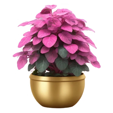 Hippo Hypoestes pink in round gold planter sticker