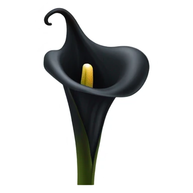 black calla lilly flower sticker