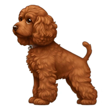Reddish brown cockapoo from the side full body sticker