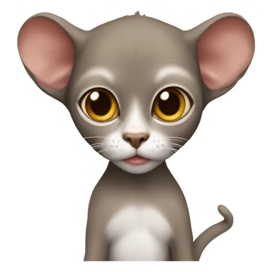 Monkey holding a Devon Rex  sticker