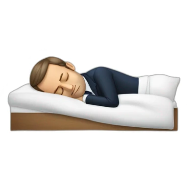 Emmanuel Macron sleeping sticker