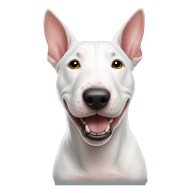Bull terrier with sdve 9 sticker