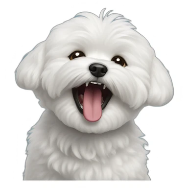 Bichon Frise yawning loudly sticker