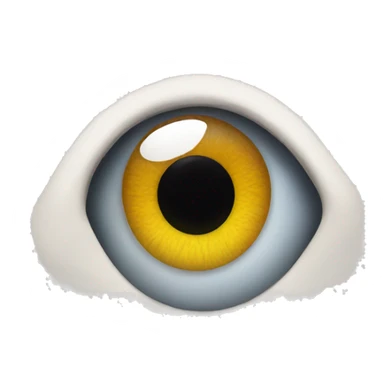eye sticker