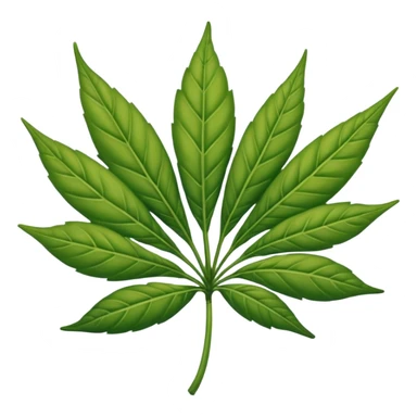 Hoja de mariguana sticker