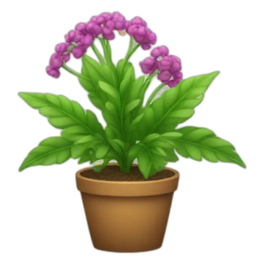 plant sticker