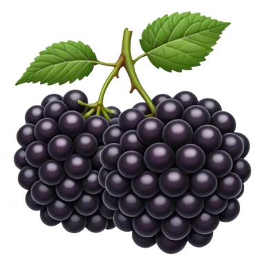 blackberries sticker