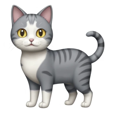 full body derpy looking large short hair dark grey and white cat sticker