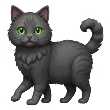 full body gorgeous solid dark grey cat with green eyes, white paws and white whiskers walking sticker