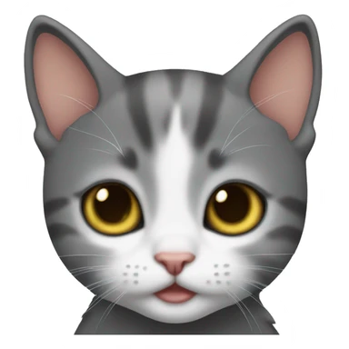 Kitten sticker
