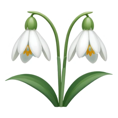 snowdrop, two blossoms, simple sticker