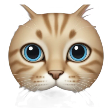 cat judging you sticker