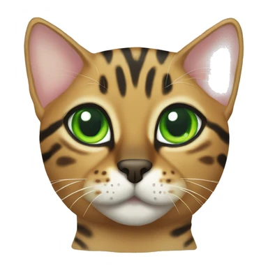 Bengal cat with green eyes sticker
