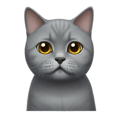 British shorthair cat with sad eyes  sticker